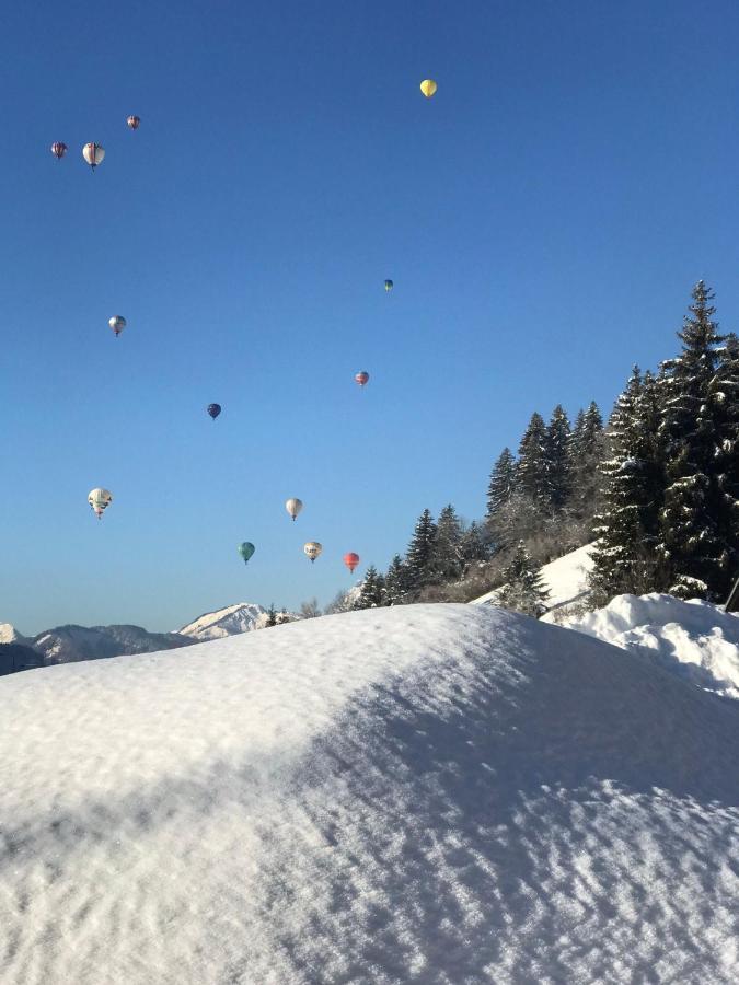 Alema Appartement Praz-sur-Arly